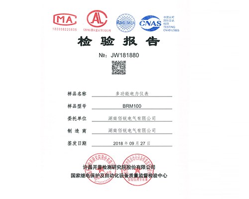 BRM100多功能电力仪表检验报告